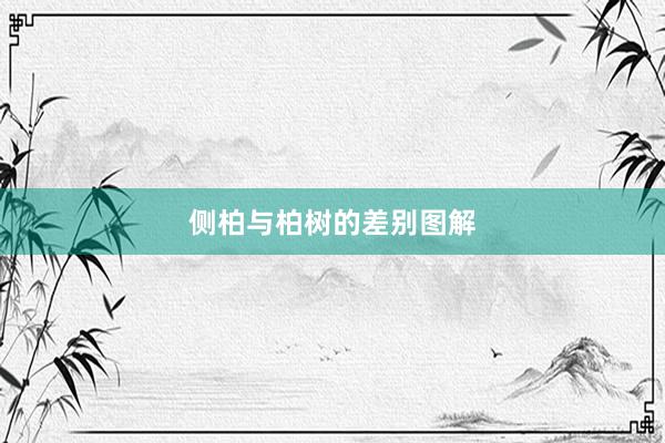 侧柏与柏树的差别图解