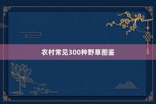 农村常见300种野草图鉴